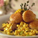 Sea Scallops with Fresh Corn Ragout